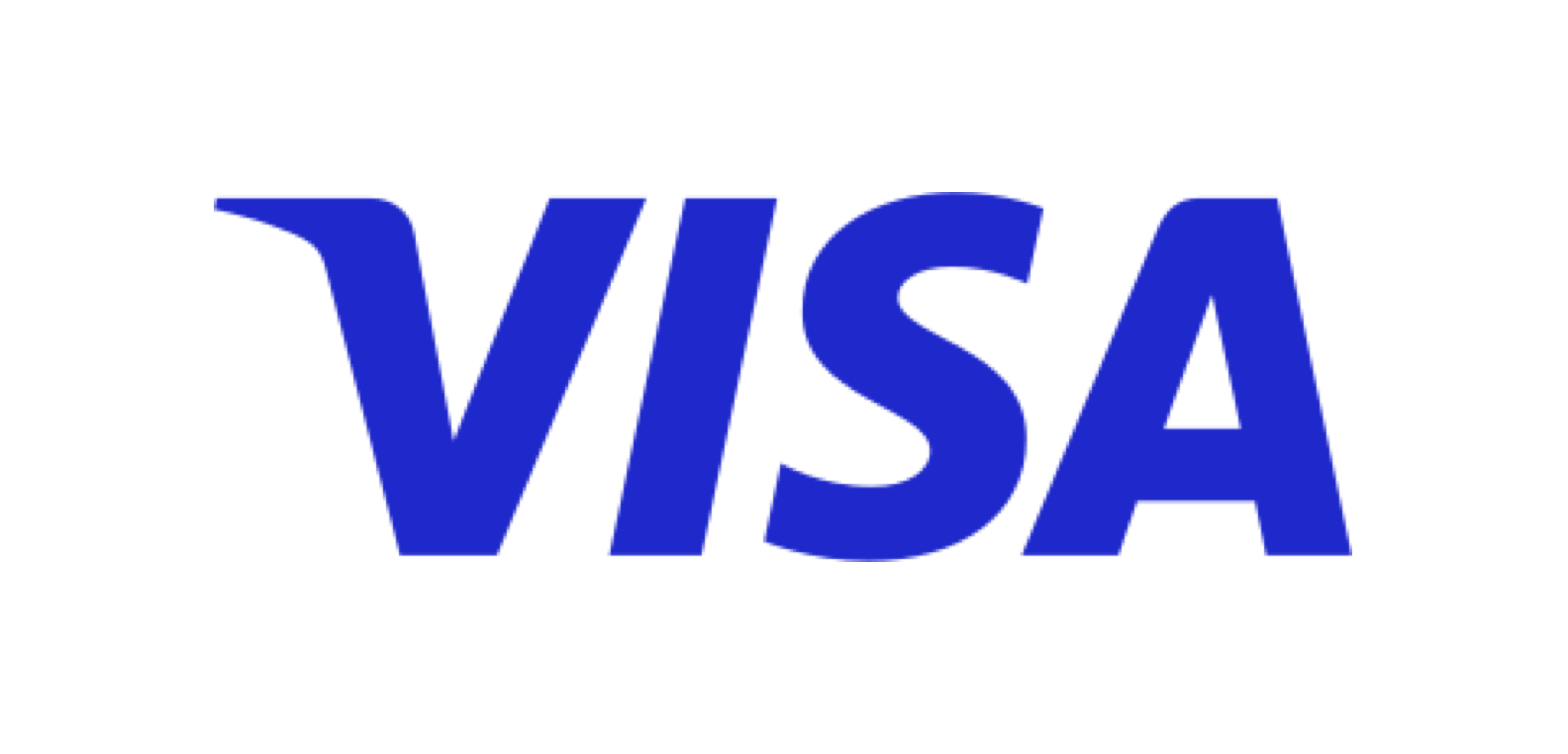 Visa Logo w Border