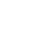 cyberfraud