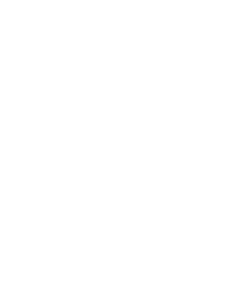 Whitepaper Icon White Whitepaper Icon White