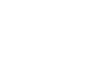 wolf and fiverity