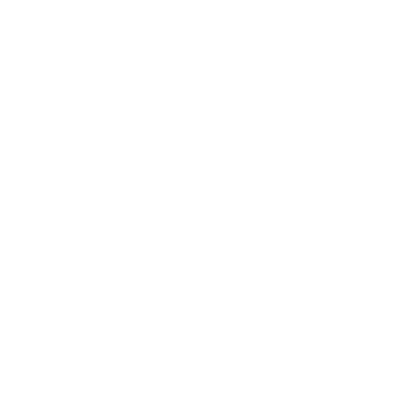 Location Icon White